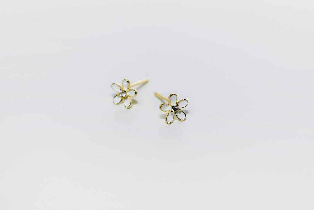 Boutons fleur blanche