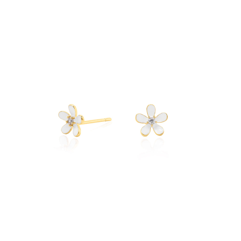 Boutons fleur blanche